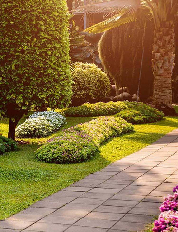 Hardscaping & Patios <br>Installation